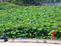 观海视觉2024年年鉴⑥：城市的记录者