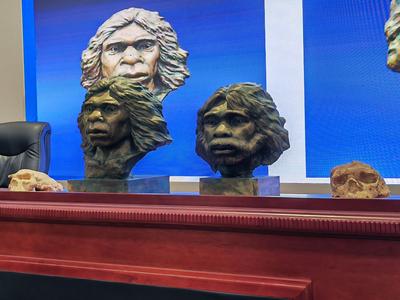 100万年前的古人类长啥样？他们首次复原了