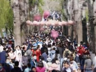 不合理低价游、强迫购物……10起旅游市场秩序整治典型案例公布