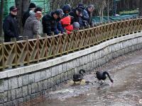 观海视觉2024年年鉴⑥：城市的记录者