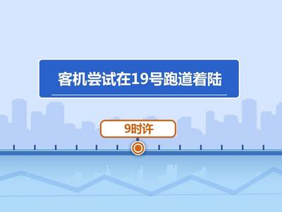 韩国客机悲剧：撞墙前六分钟接鸟情预警，179人遇难