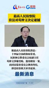 最高人民检察院依法对苟仲文决定逮捕