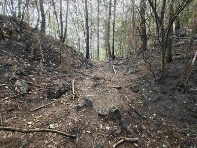 多次点火烧山，只为捡塑料瓶卖钱……刑拘！