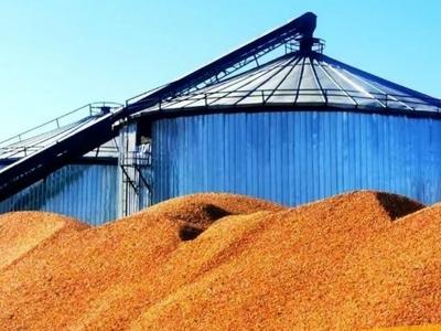 2024年粮食收购量预计8400亿斤左右