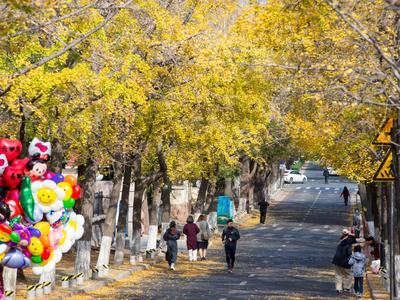 超得太阳青睐！2024年城市天气盘点，青岛上榜最“明”媚城市，日均日照6.81小时