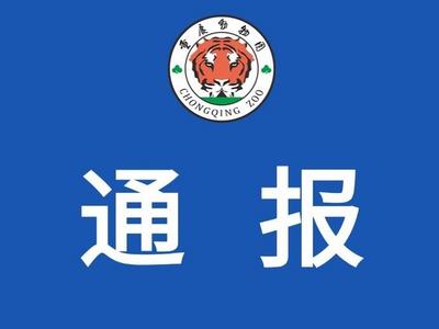 重庆动物园通报：向大熊猫兰香扔可乐男子已被行政处罚