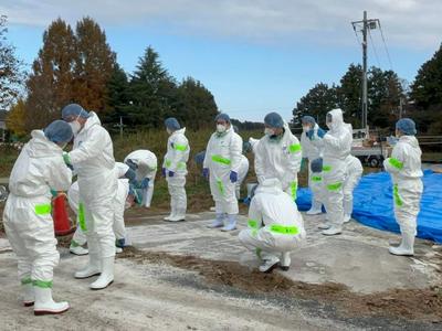 日本禽流感疫情加速蔓延，“鸡蛋荒”恐卷土重来