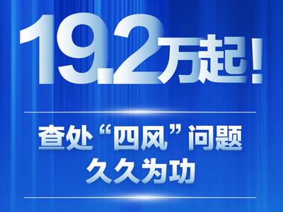 2024年1月至11月，全国共查处“四风”问题19.2万起