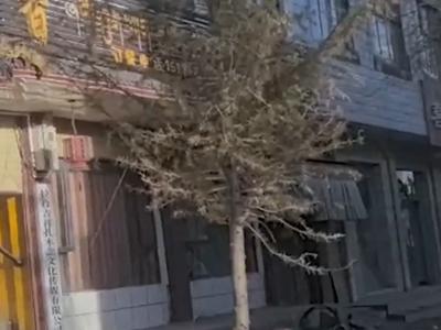争分夺秒！西藏定日县地震救援36小时