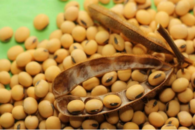 寻年味｜二十五，磨豆腐，今天你的“福”气都装“兜”里了嘛？