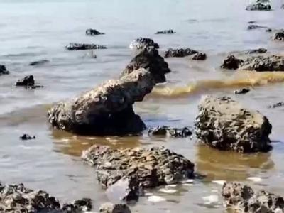 华南多地海域发生赤潮，专家提醒：不要去赤潮海域游玩、食用相关海产品