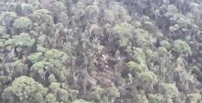 哥伦比亚失联小型飞机残骸被发现