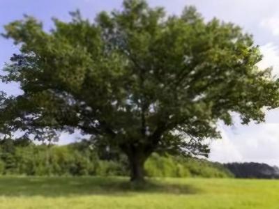 疗愈课程1小时3980元，自媒体打着疗愈幌子割韭菜