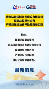 青岛陆港国际开发建设有限公司原副总经理杜吉青严重违纪违法被开除党籍和公职
