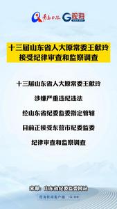 十三届山东省人大原常委王献玲接受纪律审查和监察调查
