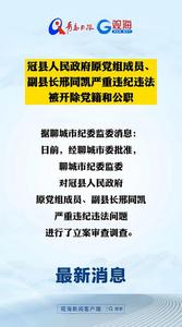 冠县人民政府原党组成员、副县长邢同凯严重违纪违法被开除党籍和公职