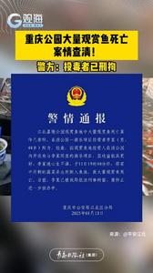 重庆公园大量观赏鱼死亡，案情查清！警方：投毒者已刑拘