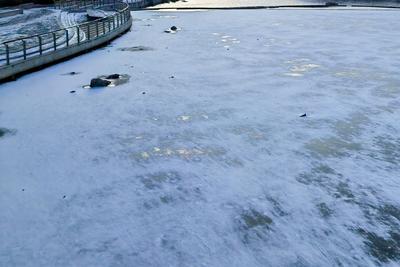 大雾、寒潮、大风、暴雪！中央气象台四预警齐发