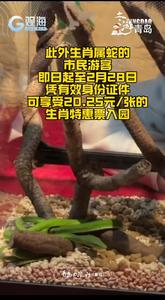 在青岛，蛇年来这看蛇了解蛇文化！（怕蛇者勿入）