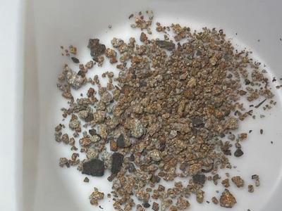 门铃摄像头完整记录陨石落地，或是人类首次？视频来了→