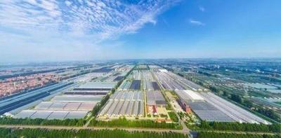 闪电评论丨山东以文旅力量赋能经济社会高质量发展