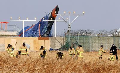 韩国济州航空失事客机的两个引擎中均发现鸟类羽毛