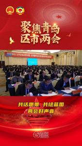 聚焦市南两会：共话愿景、共绘蓝图，听两会好声音