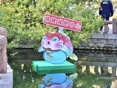 趵突泉景区回应设“锦鲤减肥中心”：只是提醒不要投喂，帮鱼减肥是误传