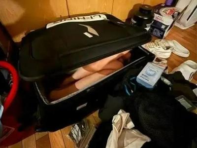 广州龙狮回应张兴亮被禁赛事件：“将女友装进行李箱带进宿舍通宵学习”不实