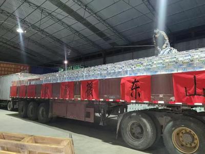 山东援藏首批救灾物资抵达定日震中