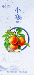 青岛农品·节气绘丨小寒：小寒连大吕，欢鹊垒新巢