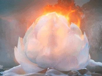 哪吒到底是哪里人？全国多地争夺哪吒IP