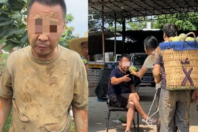 “假悲情”博取“真同情”，虚假助农视频为何屡禁不绝？
