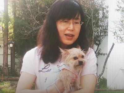 为300只“毛孩子”找到家，她用爱给流浪动物撑起一片天