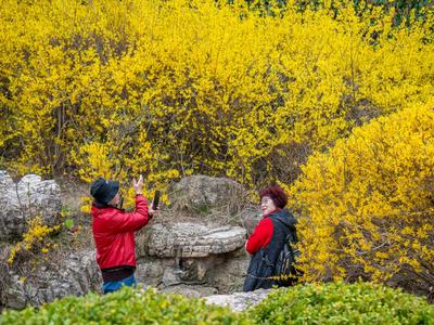 “抢先版”春意即将上线！这些地方直奔25℃以上