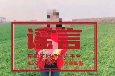 网传“南阳部分县域小麦病毒大爆发”为谣言