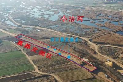 莱西市西老庄遗址入选！2024年度山东省五大考古新发现揭晓