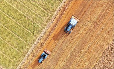 田间地头多了“千里眼”“顺风耳”——山东春节后农业生产一线见闻