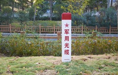 军用光缆都敢剪？最高法严打破坏军事设施犯罪