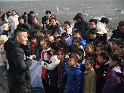 鸥遇青岛，文明相伴！“开学第一课”湿地研学共绘文明画卷