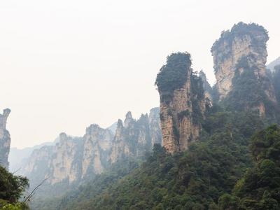 张家界武陵源回应“导游被指埋怨游客不购物”：立案调查，严肃处理