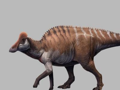 华南地区首次发现距今约7000万年赖氏龙类恐龙化石