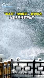 青岛冷到大海结出“海冰花”，网友：敖丙都冻成敖冰了！