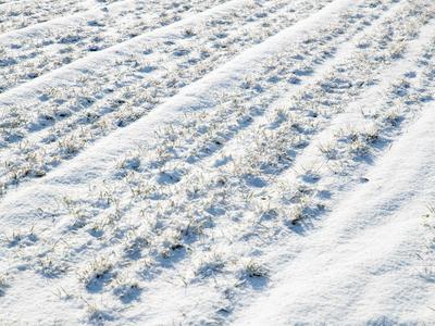 济南暴雪相当于降下387个“大明湖”，山东这次为啥雪这么大？