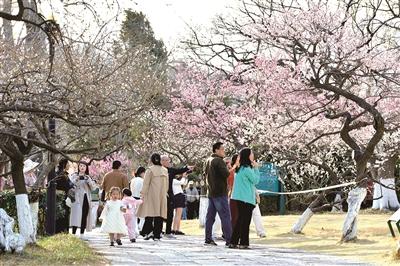@市民游客：首届赏花节即将启动，青岛邀你共赴“春花之约”