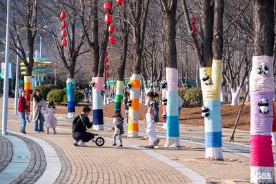 最高气温可达27℃！本周青岛开启升温通道，内陆地区早晚温差较大