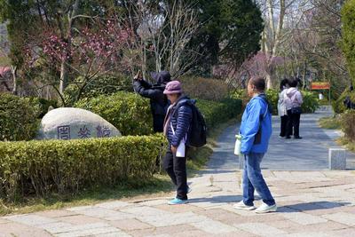 青岛深挖边角零碎空间，七百个口袋公园成为居民家门口的“后花园”        