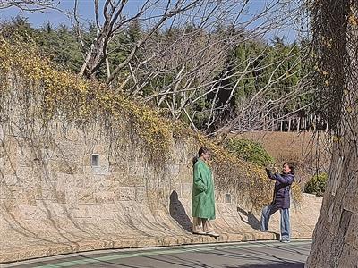 春光无限好，浮山森林公园开启“赏花模式”