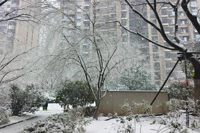 山东多地紧急通知：明天，停课一天！