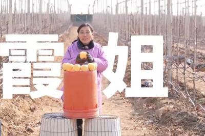 用英语卖苹果的霞姐火了 年近六旬她说人生没有“合适”的年龄